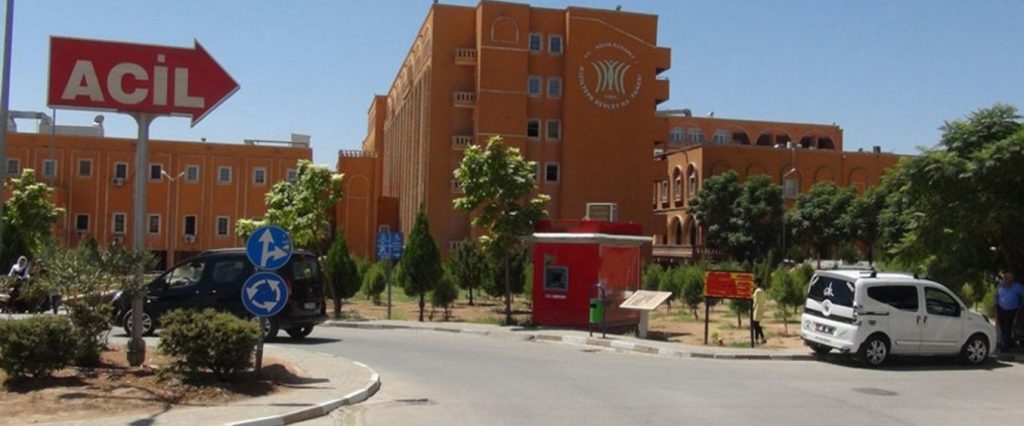 Mardin’de Sokak köpekleri 6 yaşındaki çocuğa saldırdı