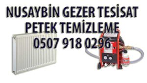 NUSAYBİN PETEK TEMİZLEME