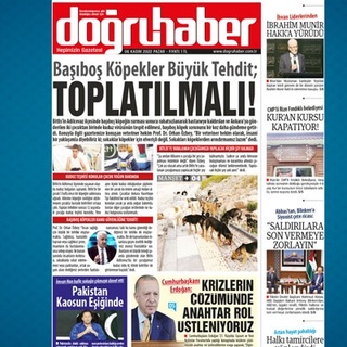 Başıboş Köpekler Büyük Tehdit; TOPLATILMALI!
