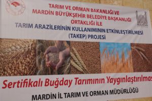 Mardin’de çiftçilere 13 milyon lira değerinde buğday tohumu dağıtıldı