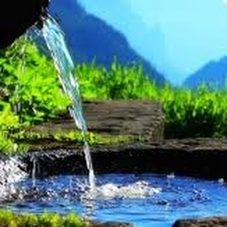 Diyetisyen Çevik: Su tüketimi hayati bir öneme sahiptir. ..