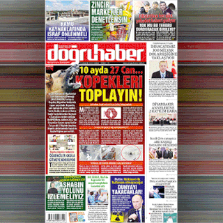 10 ayda 27 can… KÖPEKLERİ TOPLAYIN!