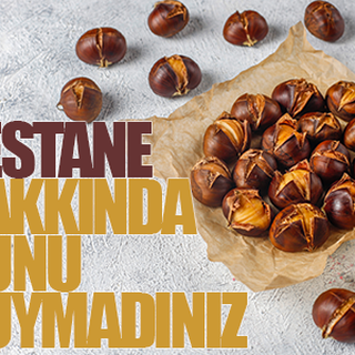 Kestane hakkında bunu duymadınız!