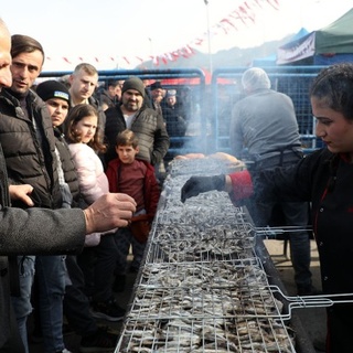 Hamsi festivalinde 2,5 ton hamsi tüketildi