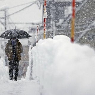 Japonya, kardan elektrik üretimi için araştırma başlattı