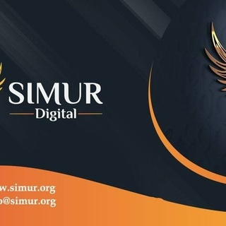 SEO’da Başarı İçin Lider SEO Ajansı Simur Digital Doğru Adres