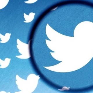 Twitter kuşu sattı!