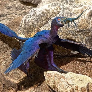 Yediği hayvanın kemiği ile fosilleşmiş dinozor bulundu
