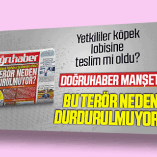 Yetkililer köpek lobisine teslim mi oldu? BU TERÖR NEDEN DURDURULMUYOR?