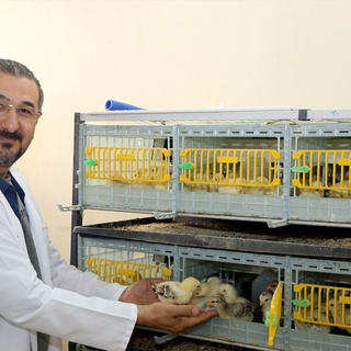 Bingöl Üniversitesinde kuluçka kerkezi hizmete girdi