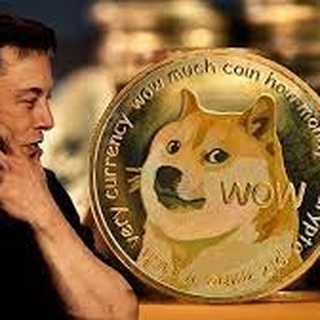 Elon Musk Twitter’ın logosunu değiştirdi! Fiyatı uçuşa geçti
