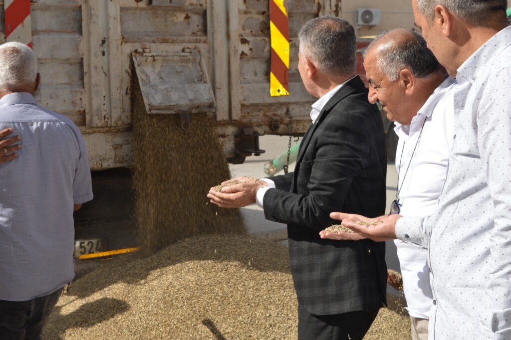 Mardin ovasında ilk arpa hasadı yapıldı