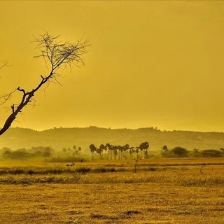 Küresel yüzey sıcaklığı 1970’den bu yana daha hızlı yükseliyor