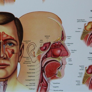 Vertigo nedir belirtileri nelerdir?