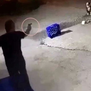 Köpeği öldüren adamı suçlu göstermişlerdi, Videonun aslı ortaya çıktı