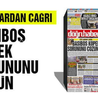 STK’lardan çağrı: ‘BAŞIBOŞ KÖPEK SORUNUNU ÇÖZÜN’