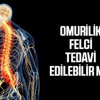 Tıp dünyasında yeni gelişme! Felç tedavi edilebilir mi?
