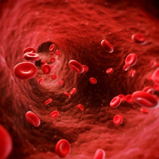 Hemofili nedir? Hemofili belirtileri nelerdir?