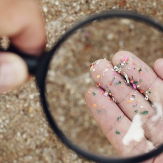 İnsan kalbinde mikroplastik bulundu