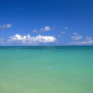 Okyanus ısı rekoru kırıldı: Dünya için sonuçları ne olacak?