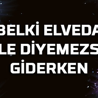Belki elveda bile diyemezsin giderken