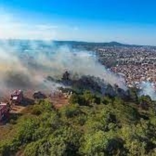 Sultanbeyli&#8217;de orman yangını devam ediyor, Nusaybin Medya