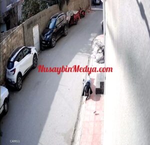 Nusaybin’de gündüz vakti cep telefonu kapkaççılığı güvenlik kamerasında
