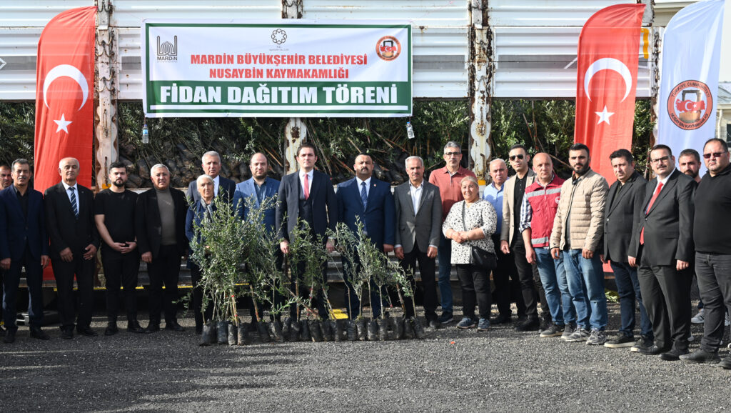 Nusaybin’de çiftçilere zeytin fidanı desteği