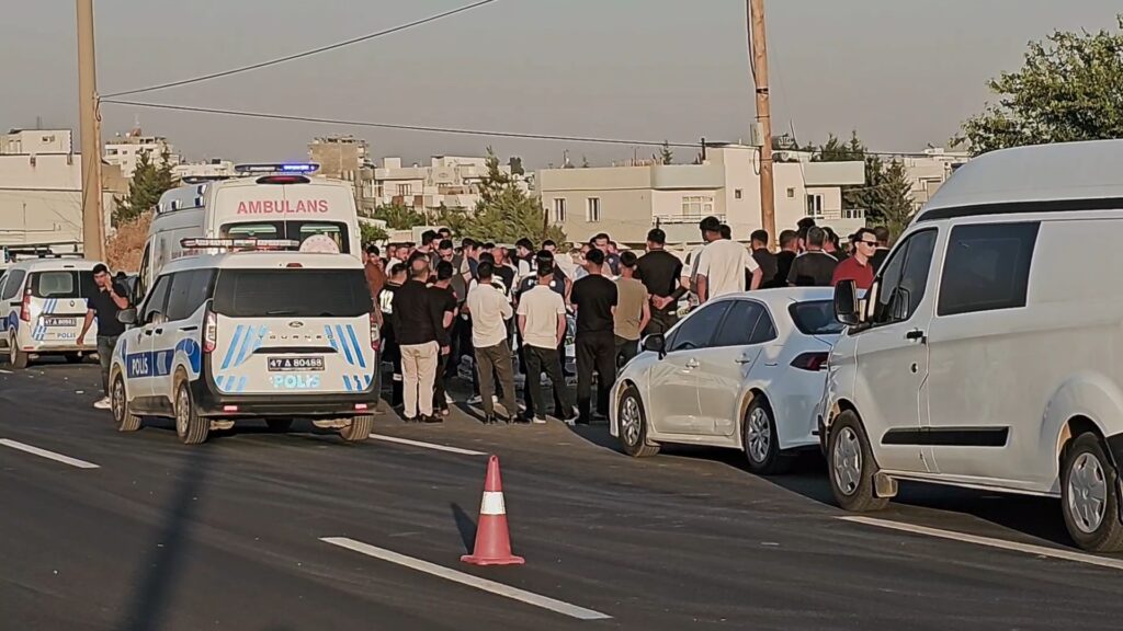 Nusaybin’de TIR’ın çarptığı yaşlı kadın  hayatını kaybetti