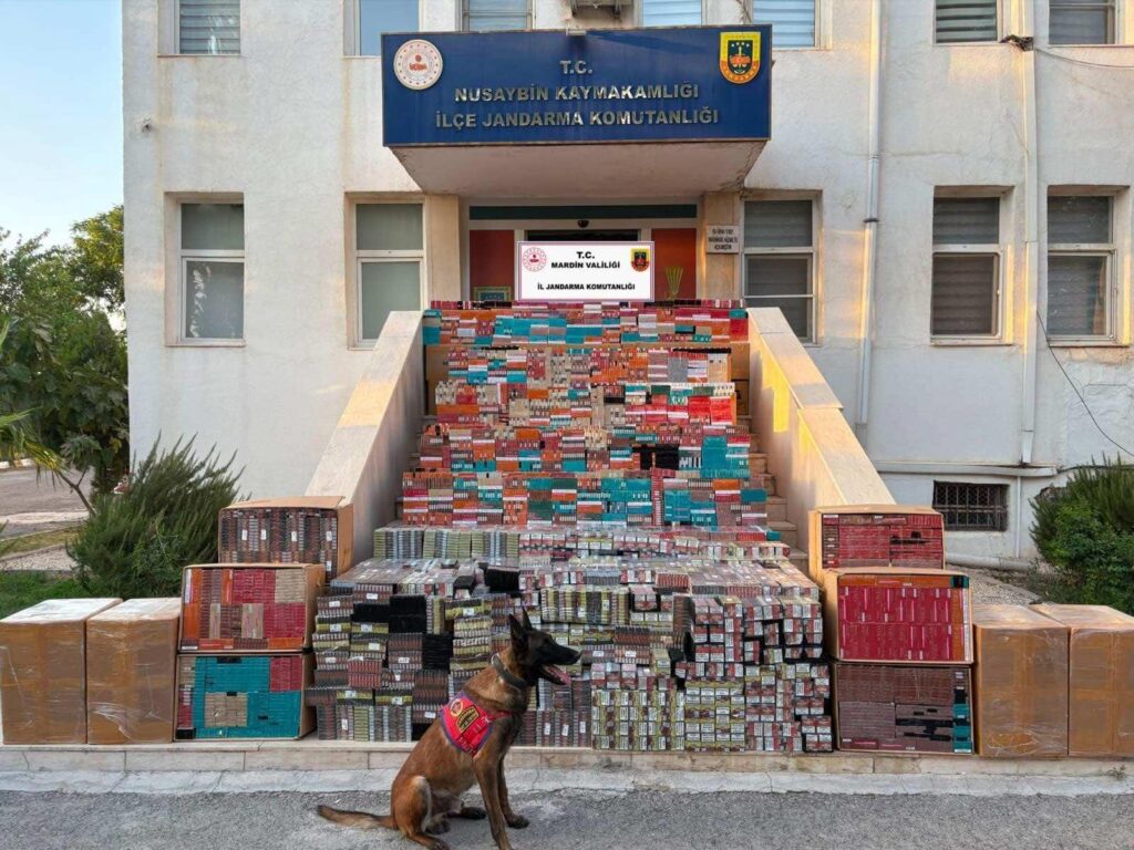 Nusaybin’de 16 milyon liralık kaçak tütün ve puro ele geçirildi