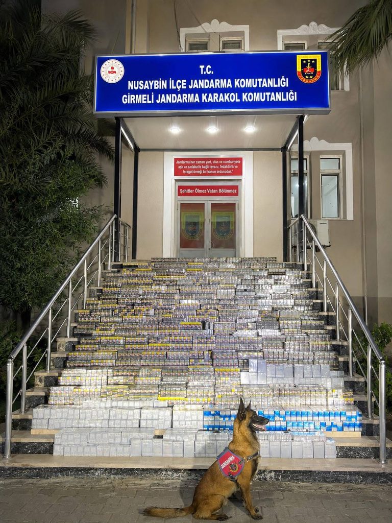 Nusaybin’de 18 bin 900 paket kaçak sigara ele geçirildi