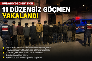 Nusaybin’de 11 düzensiz göçmen yakalandı